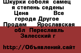 Шкурки соболя (самец) 1-я степень седены › Цена ­ 12 000 - Все города Другое » Продам   . Ярославская обл.,Переславль-Залесский г.